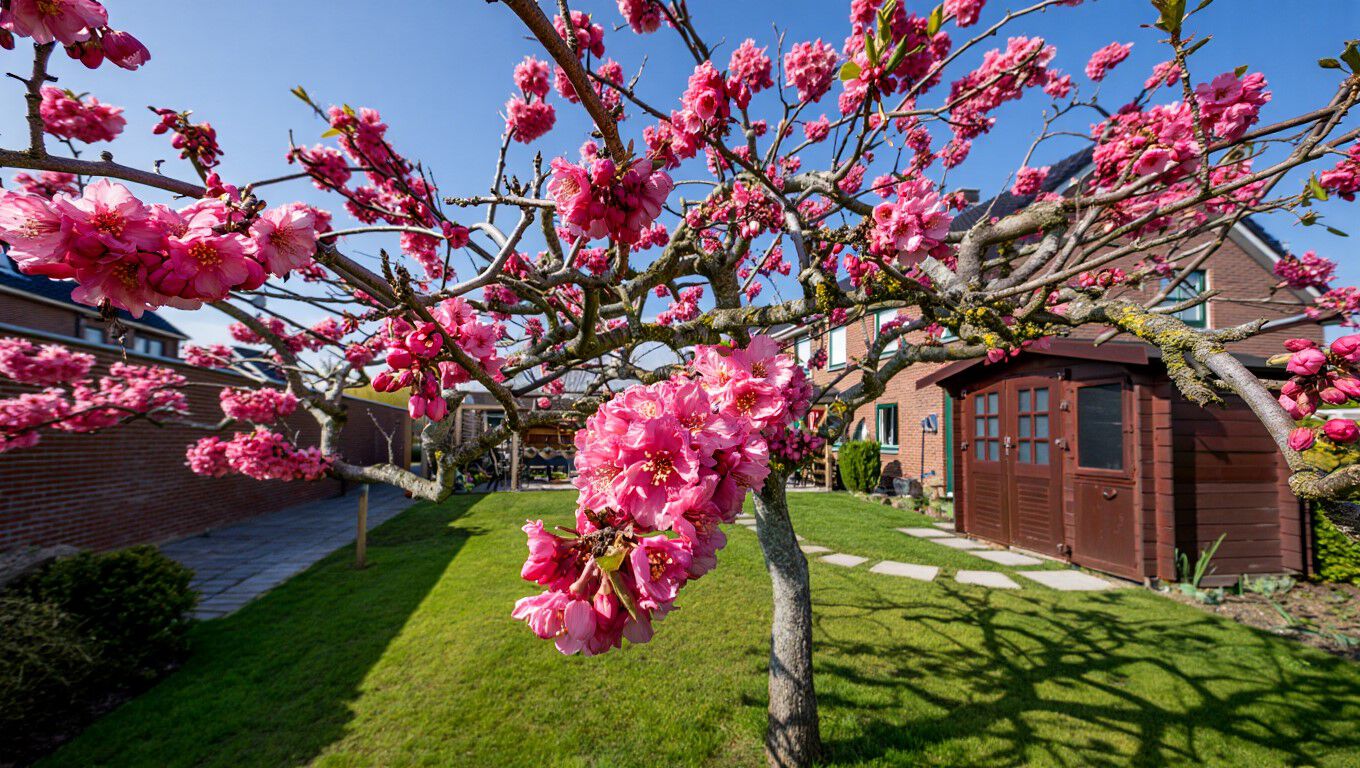 [paste advice page name here]